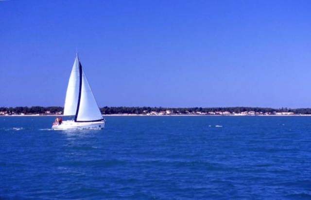 Rent a sailboat 